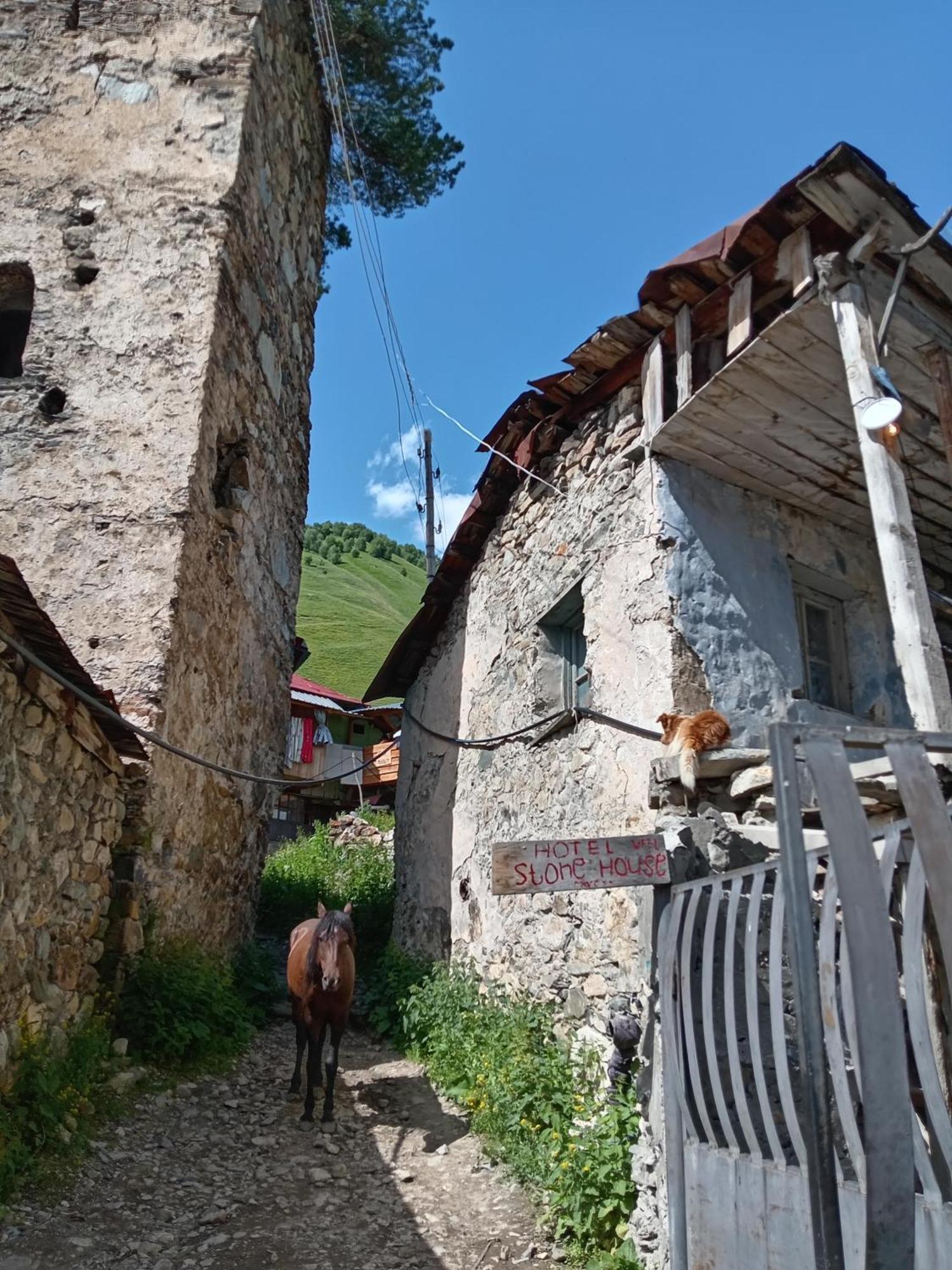 Stone House Marexi Hotel Adishi Exterior foto